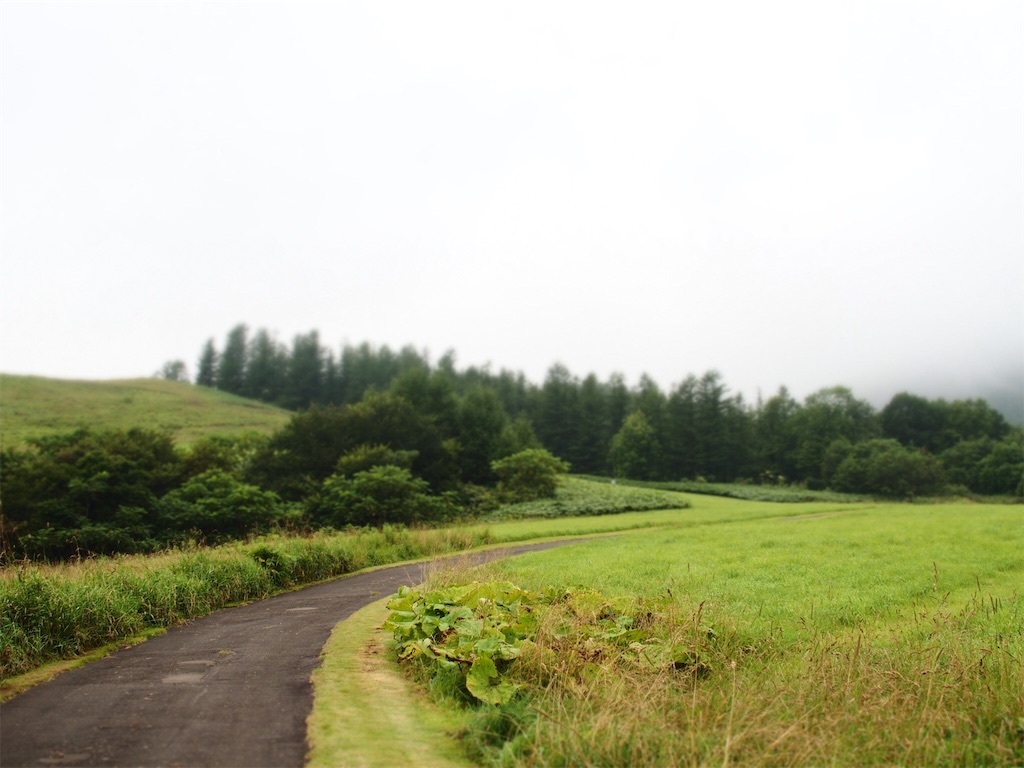 f:id:waltham70:20190818150107j:plain f:id:waltham70:20190818150107j:plain