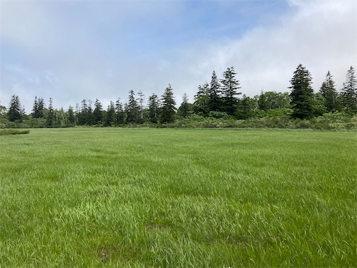 f:id:waltham70:20220715133846j:image f:id:waltham70:20220715133846j:image