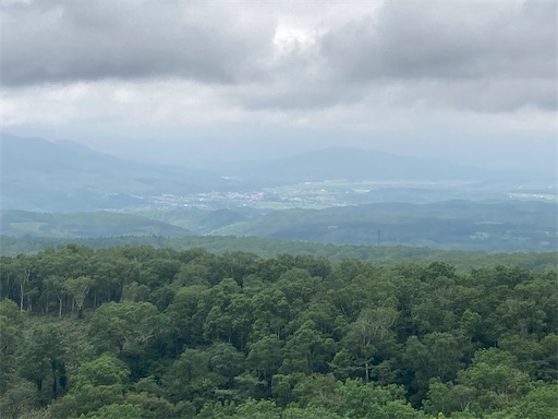 f:id:waltham70:20220715134056j:image f:id:waltham70:20220715134056j:image