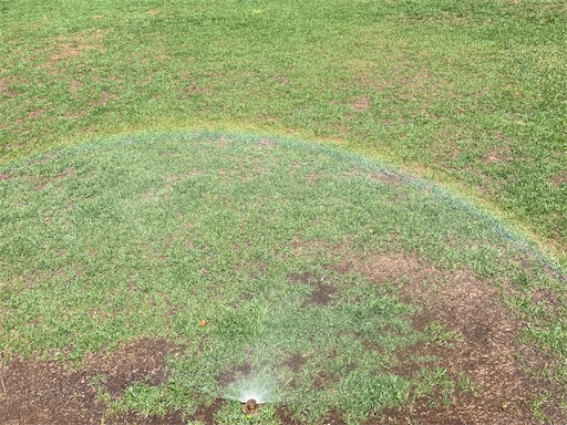 f:id:waltham70:20220729162003j:image f:id:waltham70:20220729162003j:image