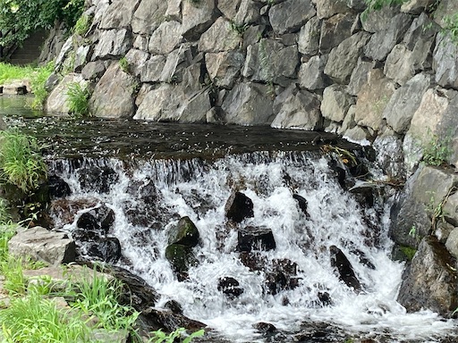 f:id:waltham70:20220729162054j:image f:id:waltham70:20220729162054j:image