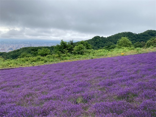 f:id:waltham70:20220729163047j:image f:id:waltham70:20220729163047j:image