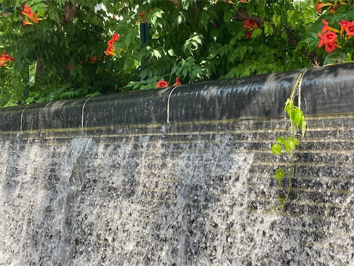 f:id:waltham70:20220729163332j:image f:id:waltham70:20220729163332j:image