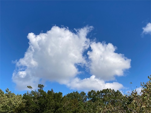 f:id:waltham70:20221011161300j:image f:id:waltham70:20221011161300j:image