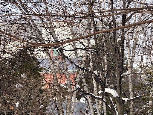 f:id:waltham70:20230219165914j:image f:id:waltham70:20230219165914j:image