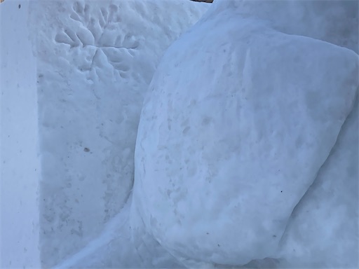 f:id:waltham70:20230219170115j:image f:id:waltham70:20230219170115j:image