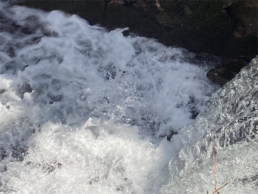 f:id:waltham70:20230402162616j:image f:id:waltham70:20230402162616j:image