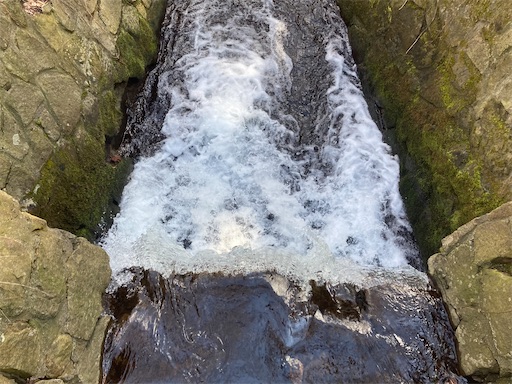 f:id:waltham70:20230402162639j:image f:id:waltham70:20230402162639j:image