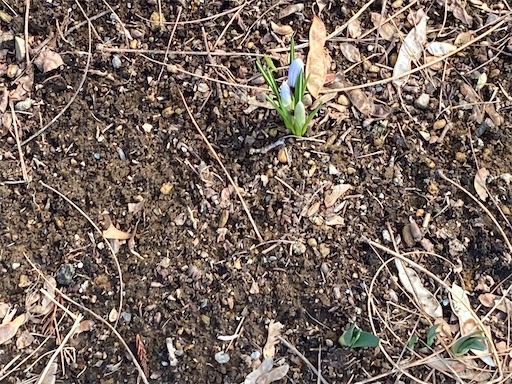 f:id:waltham70:20230402162858j:image f:id:waltham70:20230402162858j:image