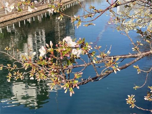 f:id:waltham70:20230407210522j:image f:id:waltham70:20230407210522j:image