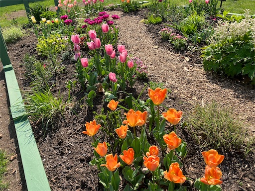 f:id:waltham70:20240519164034j:image f:id:waltham70:20240519164034j:image