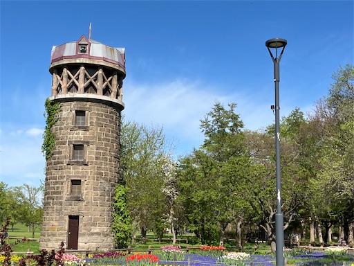 f:id:waltham70:20240519164335j:image f:id:waltham70:20240519164335j:image