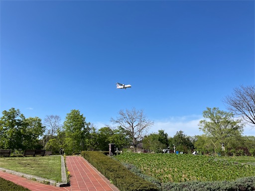 f:id:waltham70:20240519164358j:image f:id:waltham70:20240519164358j:image