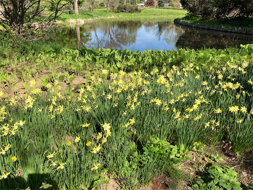 f:id:waltham70:20240519164448j:image f:id:waltham70:20240519164448j:image