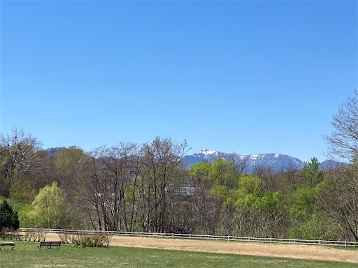 f:id:waltham70:20240519164731j:image f:id:waltham70:20240519164731j:image