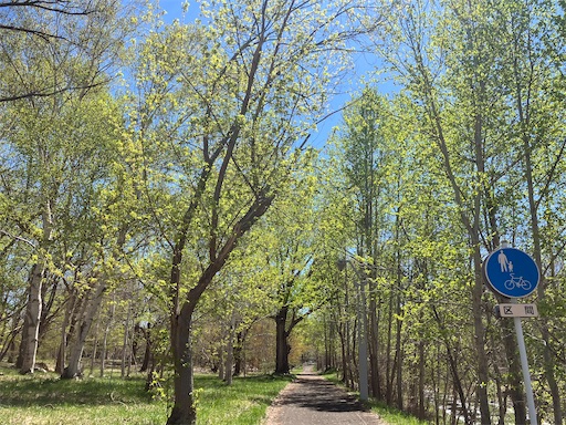 f:id:waltham70:20240519164820j:image f:id:waltham70:20240519164820j:image