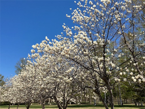 f:id:waltham70:20240519164824j:image f:id:waltham70:20240519164824j:image