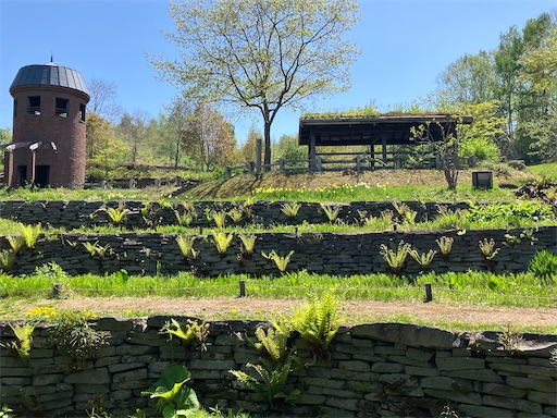 f:id:waltham70:20240519165425j:image f:id:waltham70:20240519165425j:image