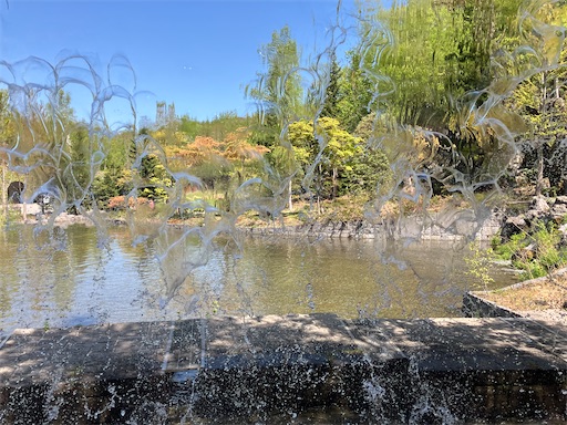 f:id:waltham70:20240519165529j:image f:id:waltham70:20240519165529j:image