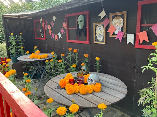 f:id:waltham70:20241118193705j:image f:id:waltham70:20241118193705j:image