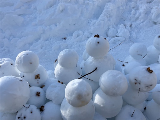 f:id:waltham70:20250209080143j:image