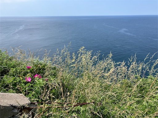 f:id:waltham70:20250711191102j:image