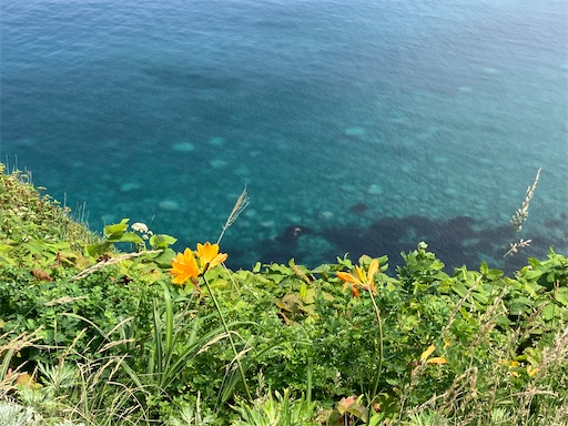 f:id:waltham70:20250711191459j:image