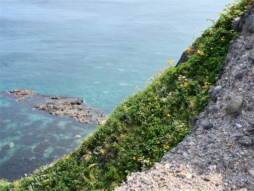 f:id:waltham70:20250711191539j:image