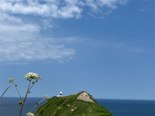 f:id:waltham70:20250711191839j:image