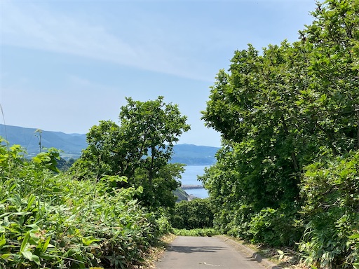 f:id:waltham70:20250711192133j:image