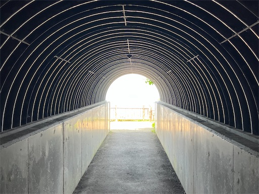 f:id:waltham70:20250711192225j:image