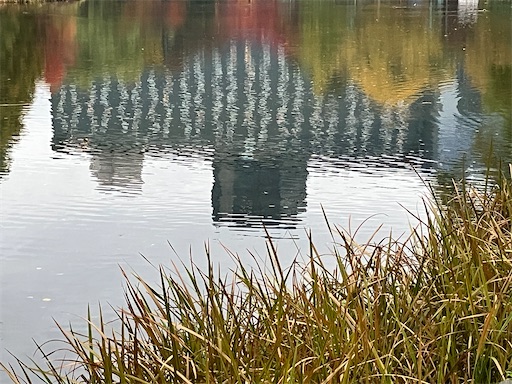 f:id:waltham70:20251104140619j:image f:id:waltham70:20251104140619j:image