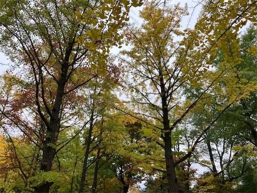 f:id:waltham70:20251104140622j:image f:id:waltham70:20251104140622j:image