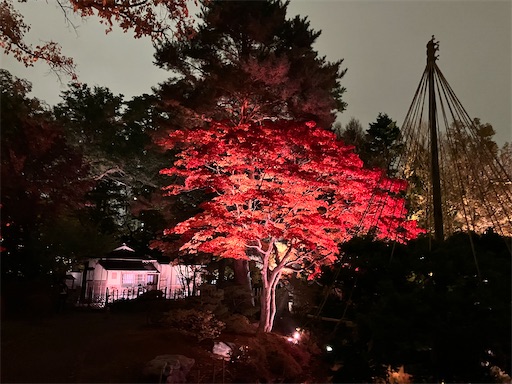 f:id:waltham70:20251104141042j:image f:id:waltham70:20251104141042j:image