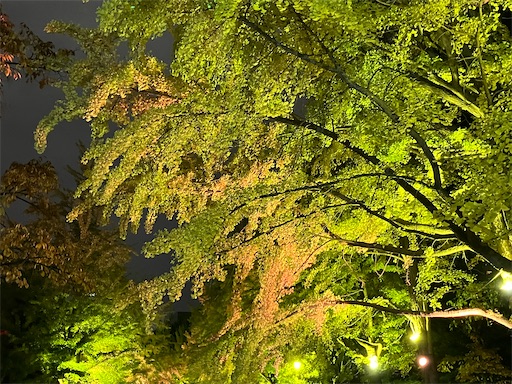 f:id:waltham70:20251104141155j:image f:id:waltham70:20251104141155j:image