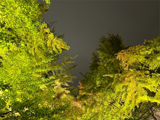 f:id:waltham70:20251104141158j:image f:id:waltham70:20251104141158j:image