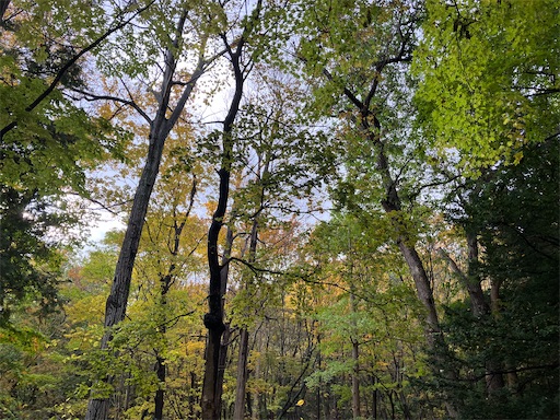 f:id:waltham70:20251104141308j:image f:id:waltham70:20251104141308j:image