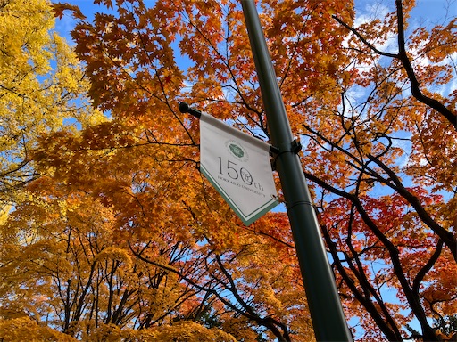 f:id:waltham70:20251104141515j:image f:id:waltham70:20251104141515j:image