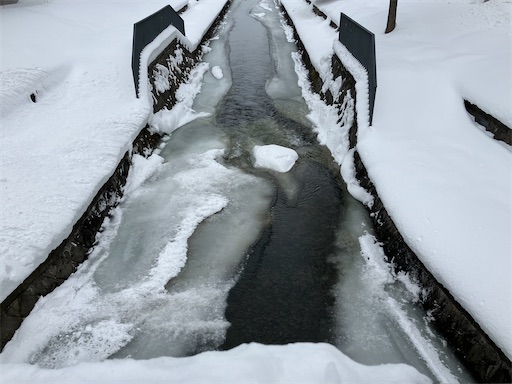 f:id:waltham70:20260110165344j:image