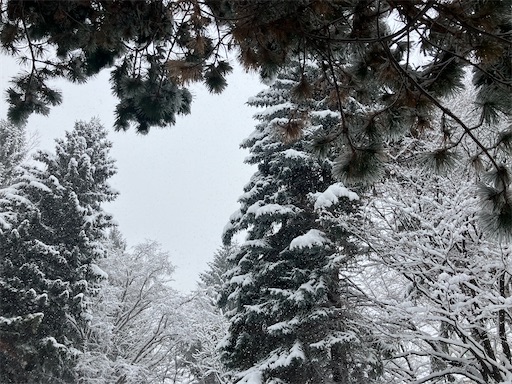 f:id:waltham70:20260110165348j:image