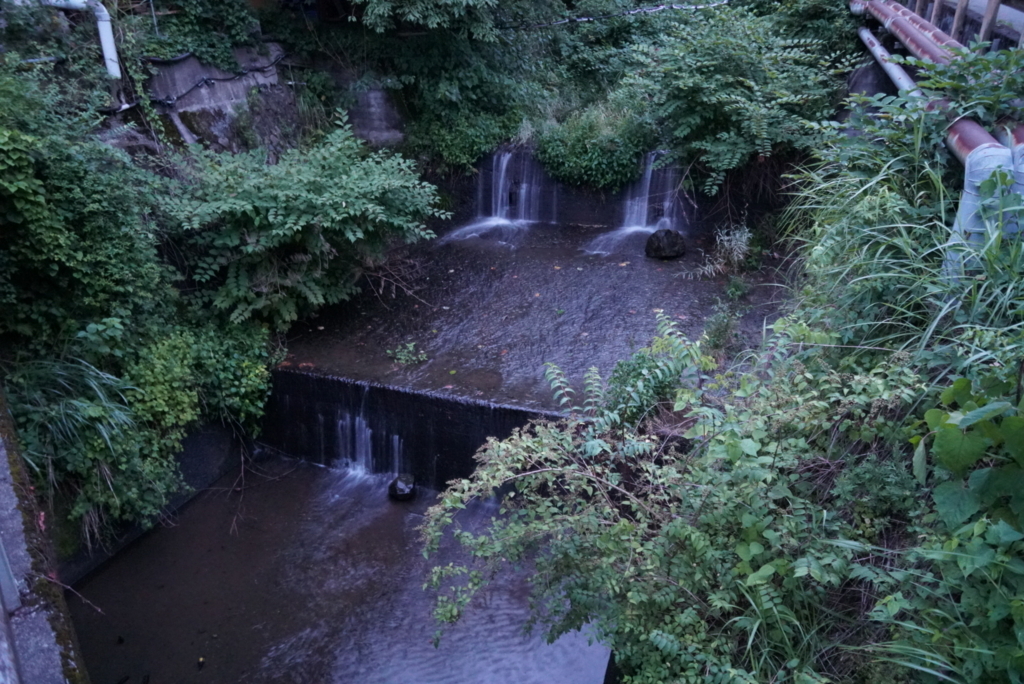f:id:wamama-mikata:20180711120035j:plain f:id:wamama-mikata:20180711120035j:plain