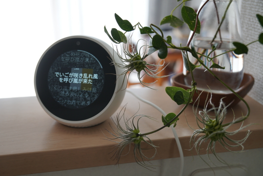 f:id:wamama-mikata:20180731124521j:plain f:id:wamama-mikata:20180731124521j:plain