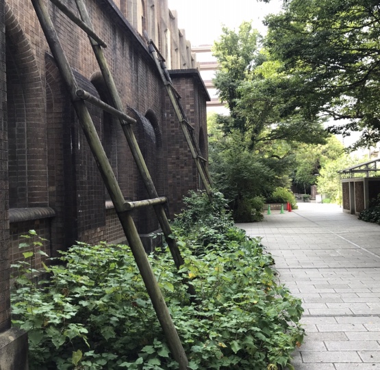 f:id:wamama-mikata:20180805154707j:plain f:id:wamama-mikata:20180805154707j:plain