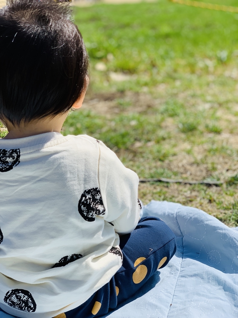 f:id:wamama-mikata:20190308215152j:plain