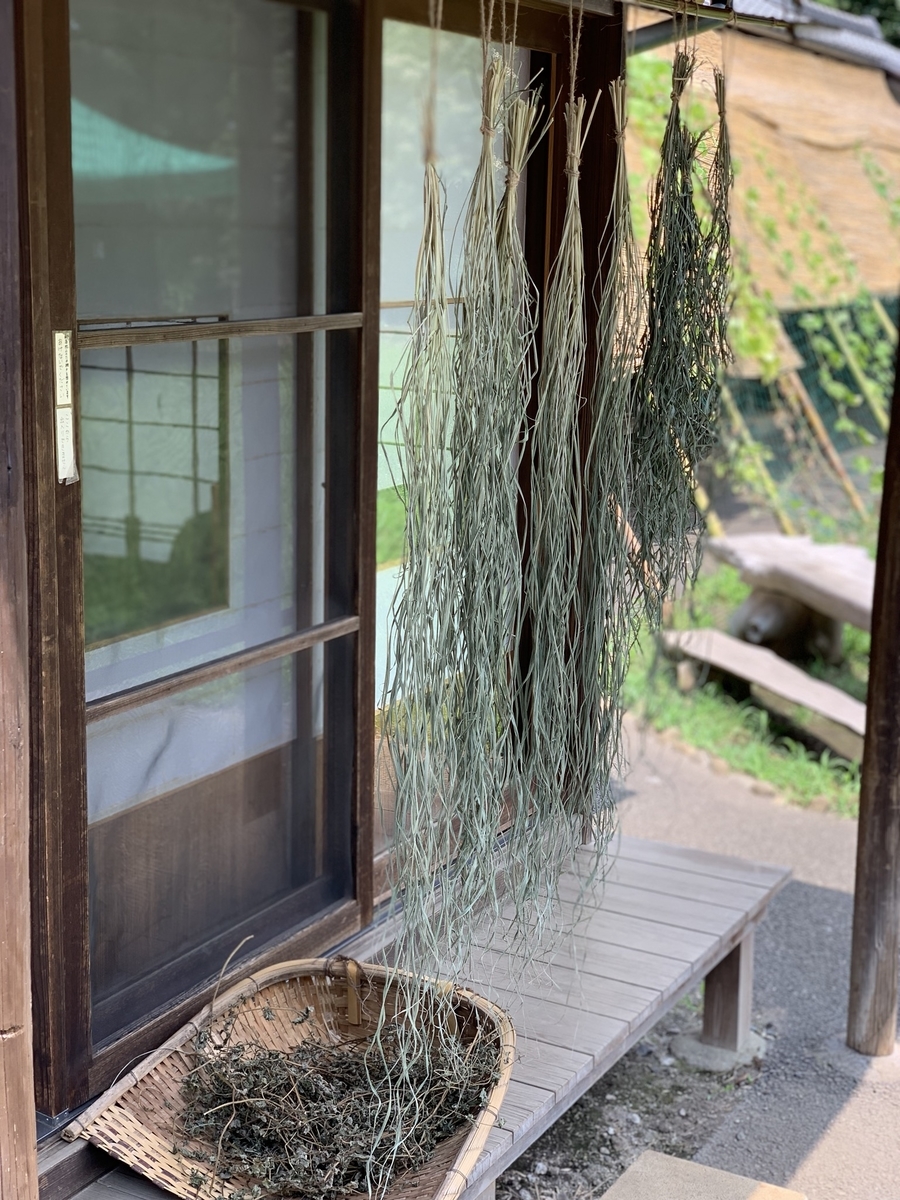 f:id:wamama-mikata:20190816023047j:plain f:id:wamama-mikata:20190816023047j:plain