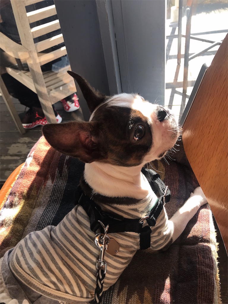 f:id:wami28:20191219173628j:image f:id:wami28:20191219173628j:image