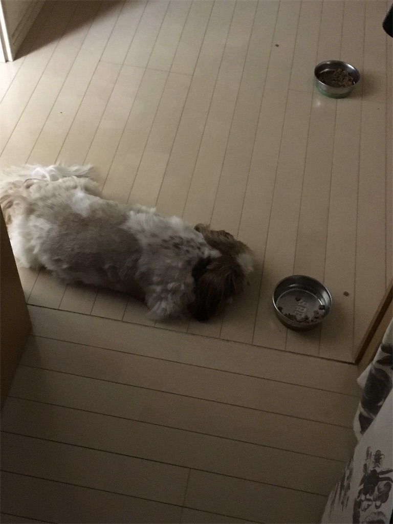 f:id:wan-wan-o:20190904132043j:image f:id:wan-wan-o:20190904132043j:image