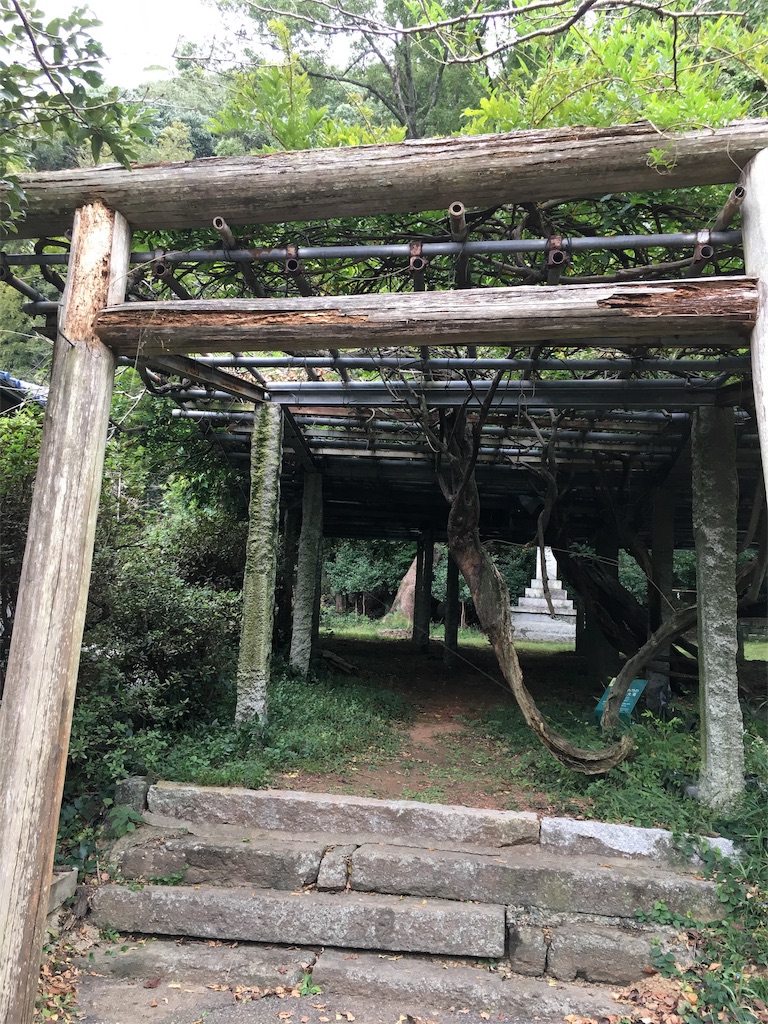f:id:wan-wan-o:20191007140444j:image