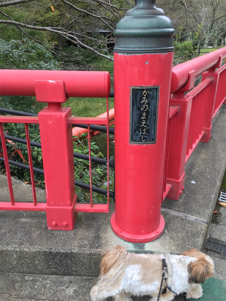 f:id:wan-wan-o:20191007140623j:image
