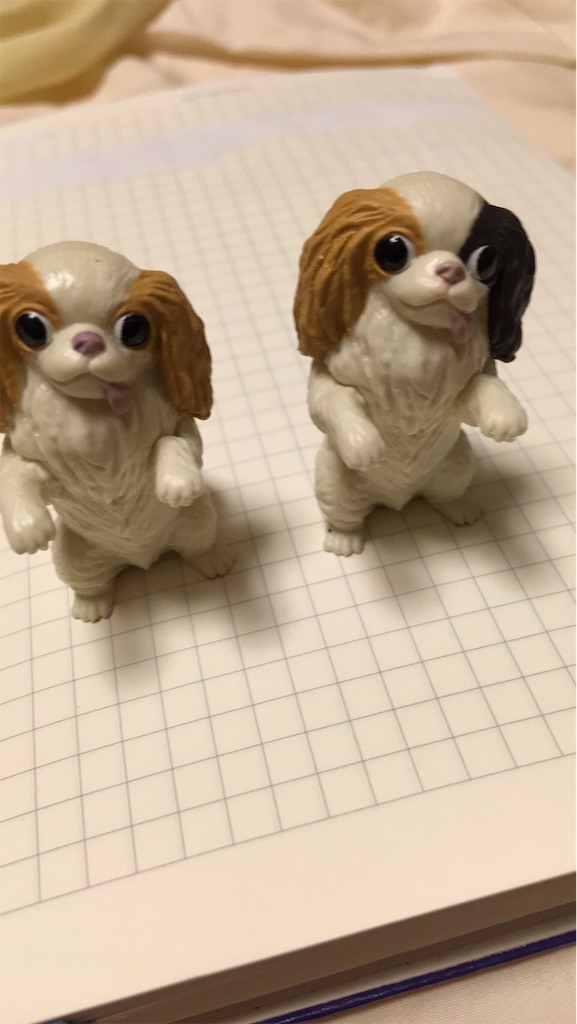f:id:wan-wan-o:20191018004932j:image